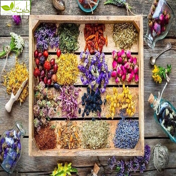 قیمت داروی گیاهی تقویت اعصاب